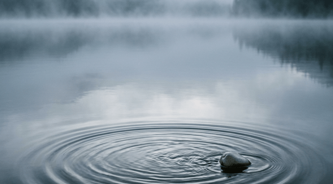 Stone causing ripple circles on calm lake with foggy forest background