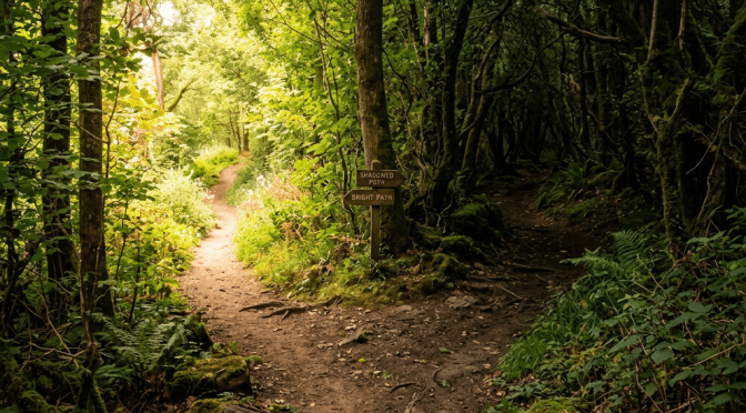 What Drives Your Life? Understanding the Heart’s Role